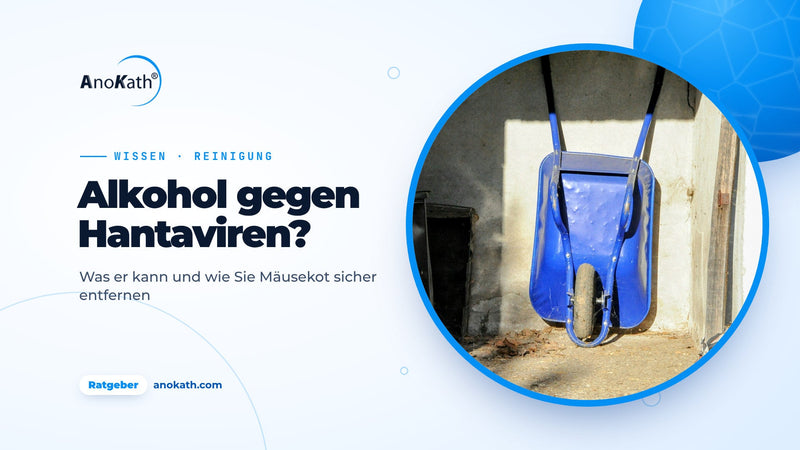 Blaue Schubkarre an der Wand eines hellen Schuppens, Titelbild zum Ratgeber Alkohol gegen Hantavirus