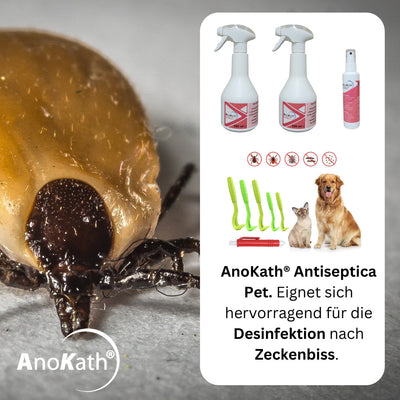 Zeckeninfektion: Zecken-Bundle – Pflege-Set für Hunde und Katzen