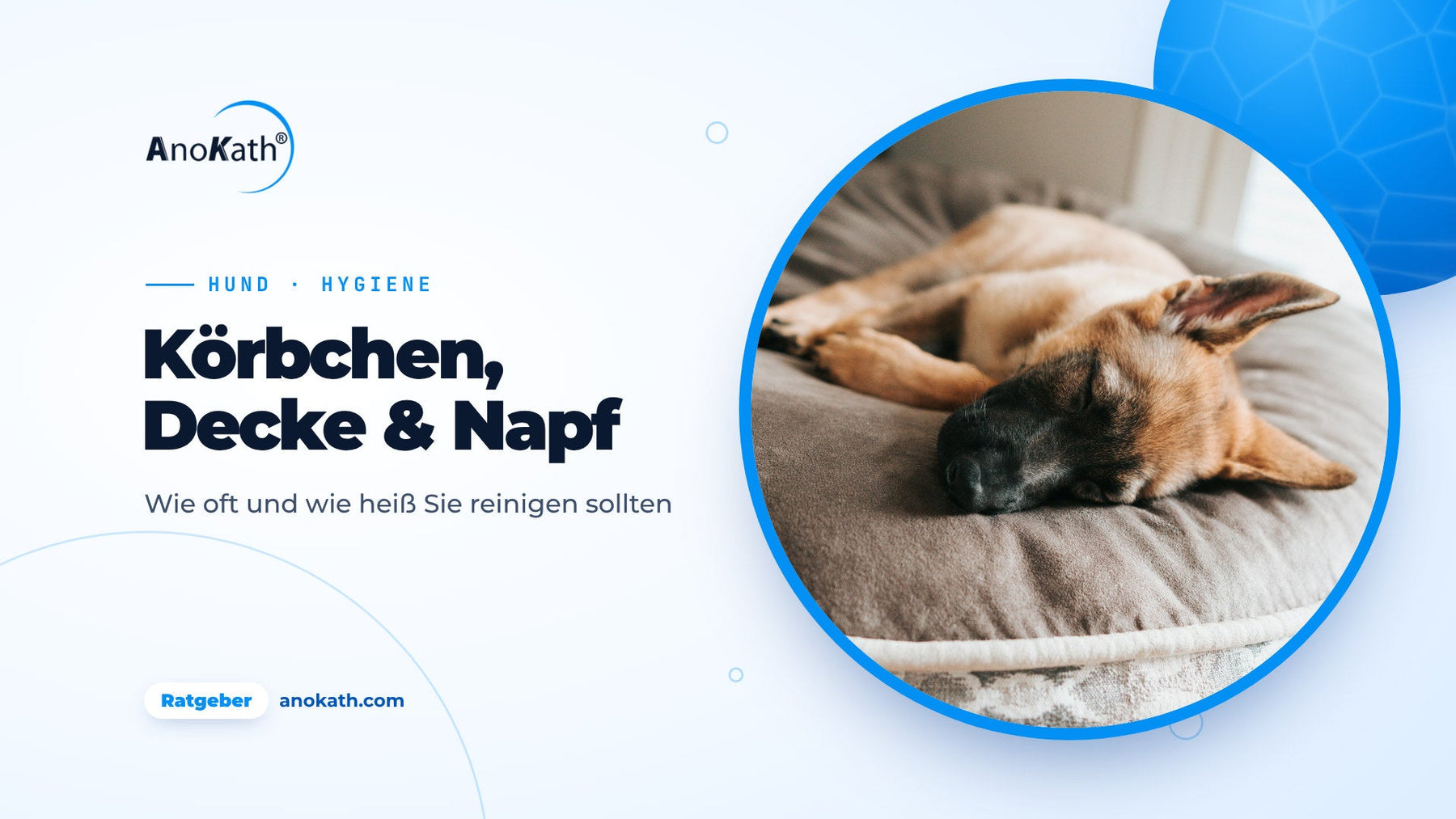 Jeune berger allemand dormant sur un coussin gris pour chien, image de couverture du guide sur le nettoyage du panier du chien
