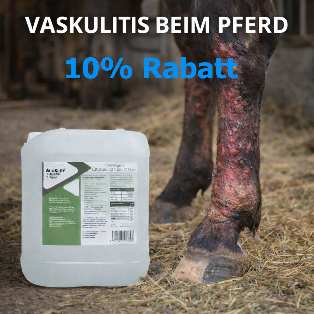 10% Rabatt Vaskulitis beim Pferd