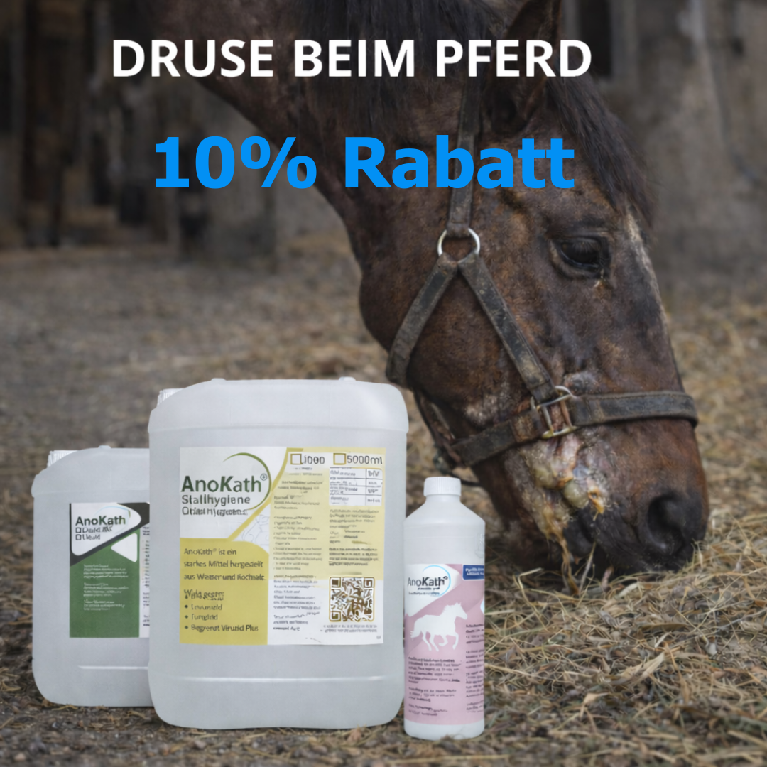 10% Rabatt Druse beim Pferd