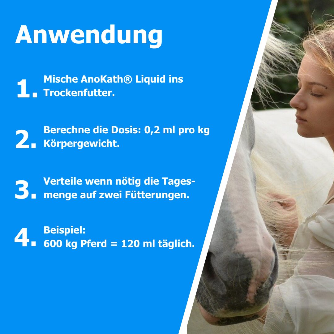 Darmsanierung beim Pferd – Ergänzung zur täglichen Fütterung
