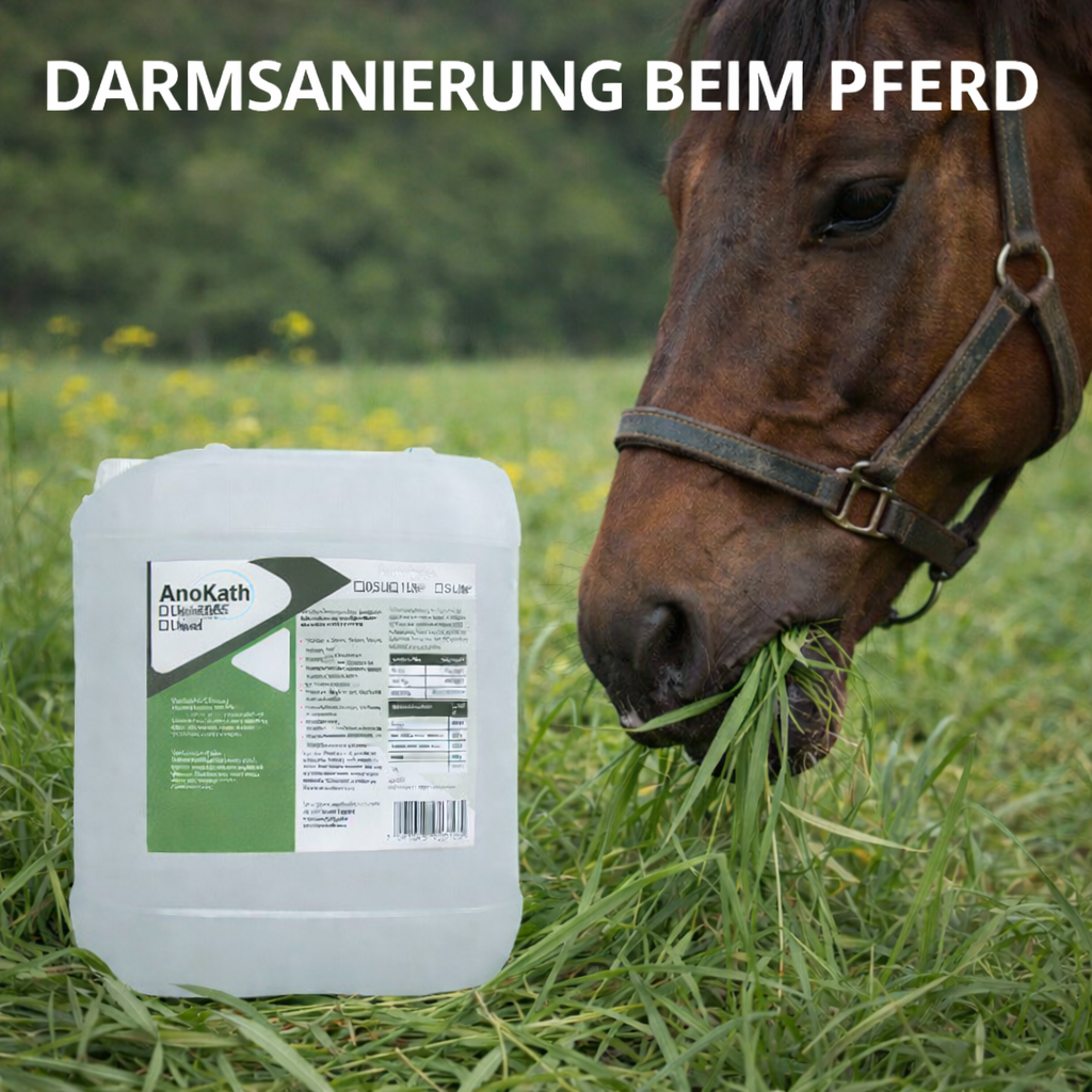 AnoKath® Liquid – Accompagnement quotidien du cheval pour l'assainissement intestinal 