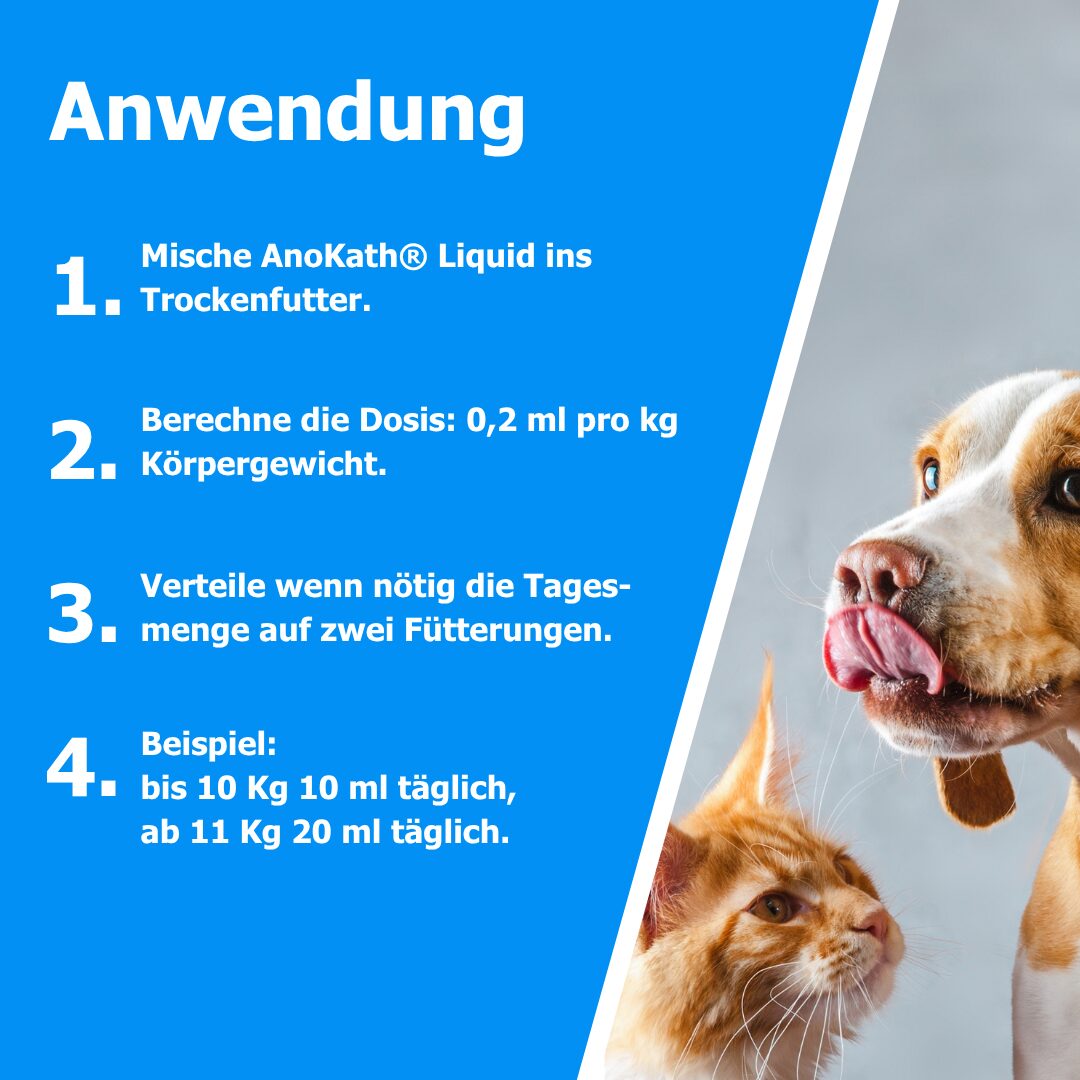Säure-Basen-Unterstützung für Hund, Katze und Pferd