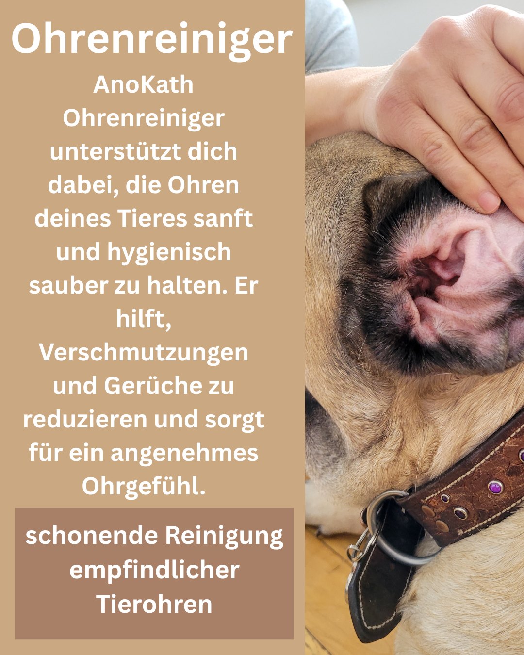 Ohrenreiniger