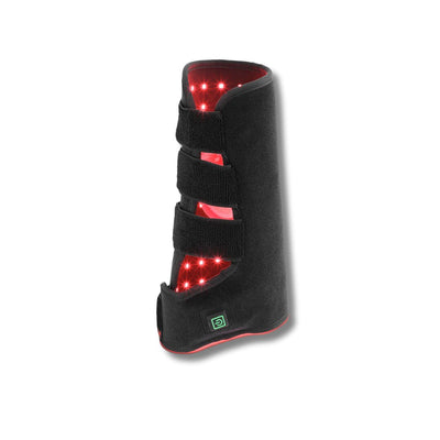Guêtre de cheval AnoKath® lumière rouge LEG 110 – Chaleur profonde, régénération & mobilité