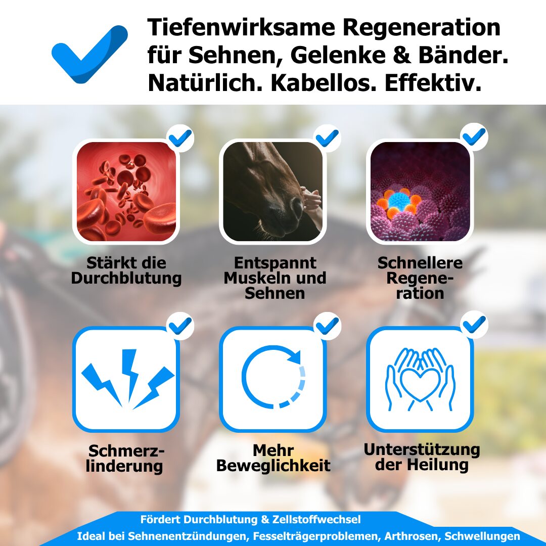 Rotlicht-Gamasche für Pferde von AnoKath