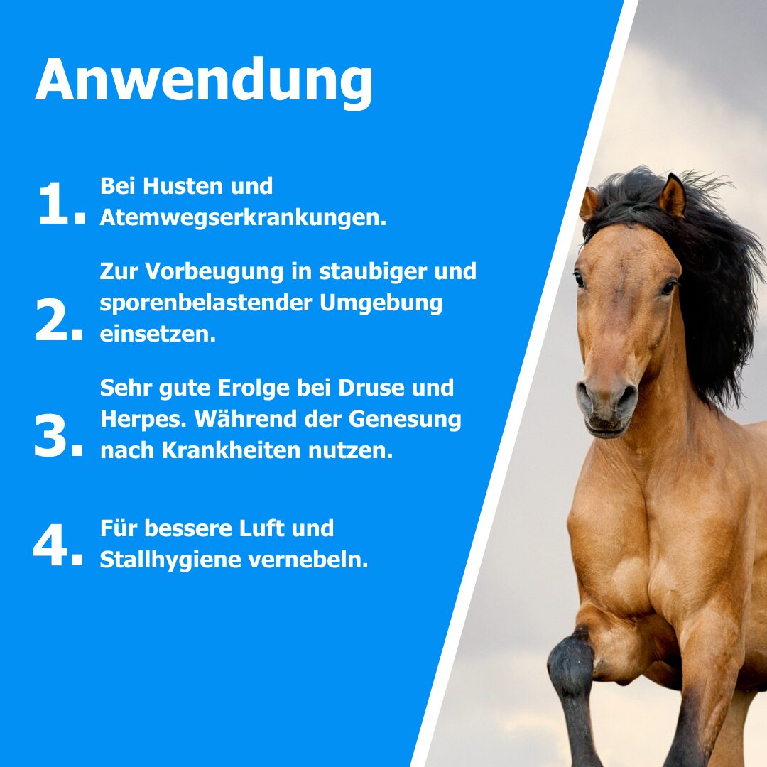 Nebeldusche-Inhalator – Verneblungssystem für Stall und Tierhaltung