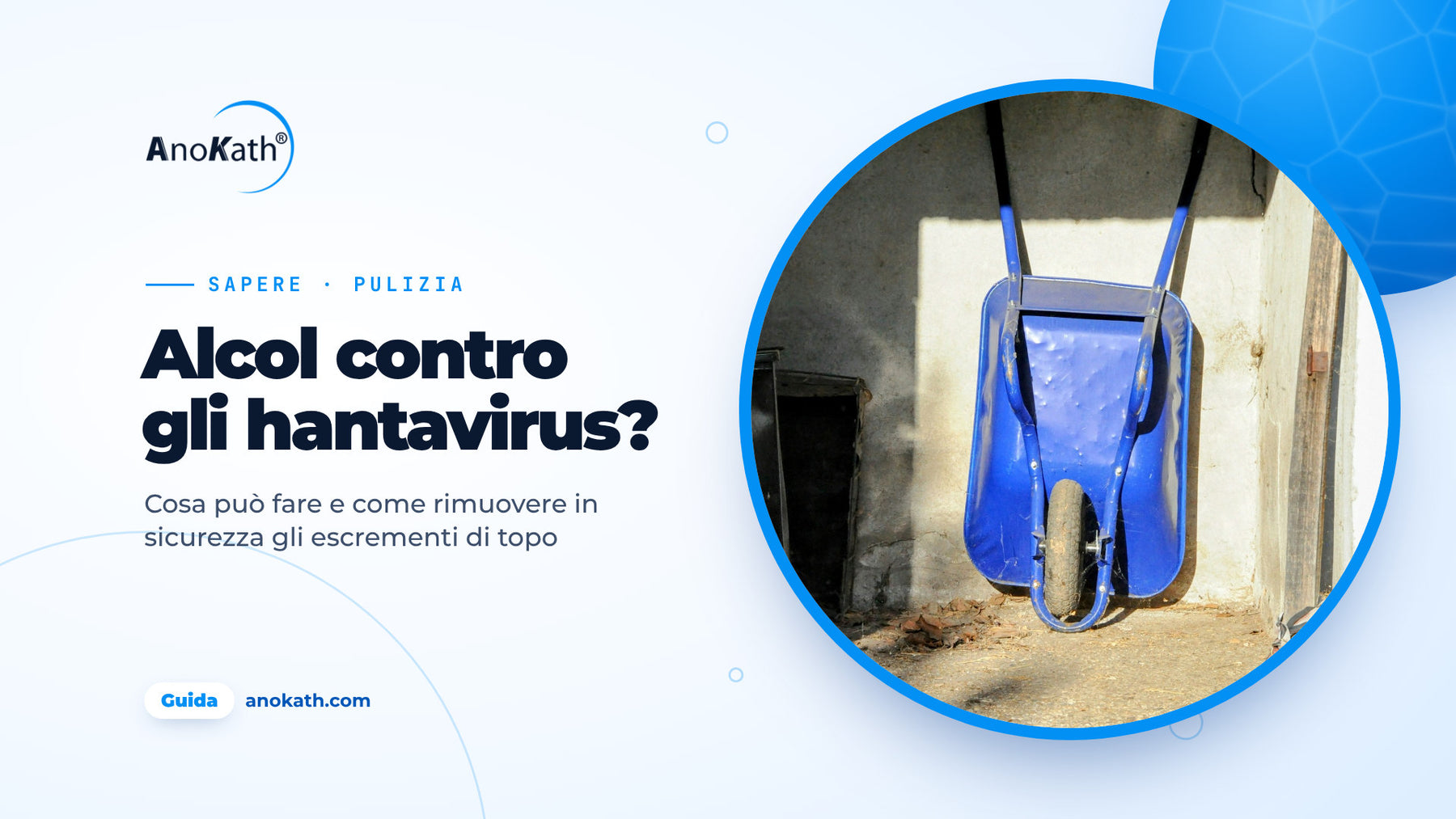 Carriola blu appoggiata alla parete di un capanno chiaro, immagine di copertina della guida sull’alcol contro l’hantavirus