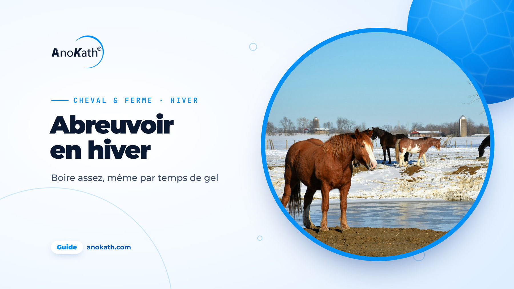 Chevaux dans un pré enneigé près d’un point d’eau en partie gelé, image de couverture du guide sur l’abreuvoir en hiver