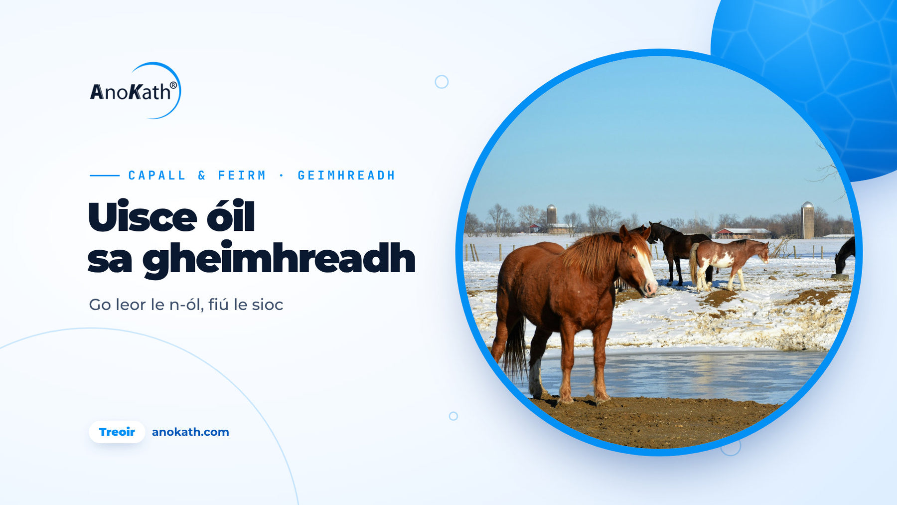 Capaill ar pháirc shneachtúil in aice le huisce óil atá reoite go páirteach, íomhá chlúdaigh don treoir ar uisce d'ainmhithe sa gheimhreadh