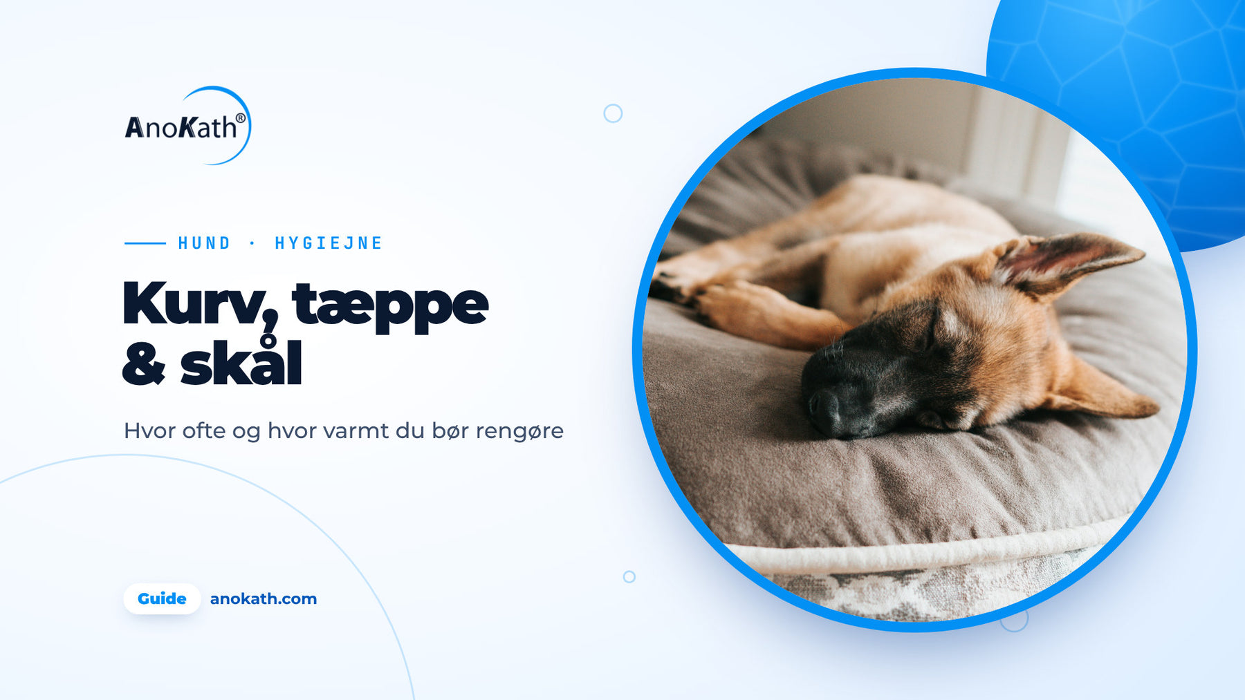 Ung schæferhund sover på en grå hundeseng, forsidebillede til guiden om rengøring af hundekurv