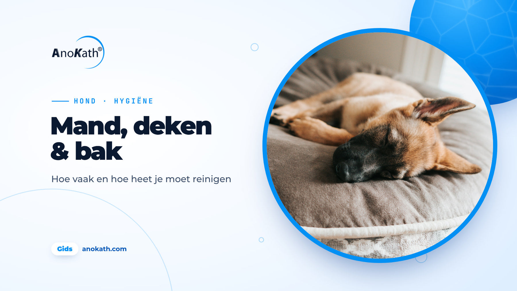 Jonge herdershond slaapt op een grijs hondenbed, omslagafbeelding bij de gids over hondenmand reinigen